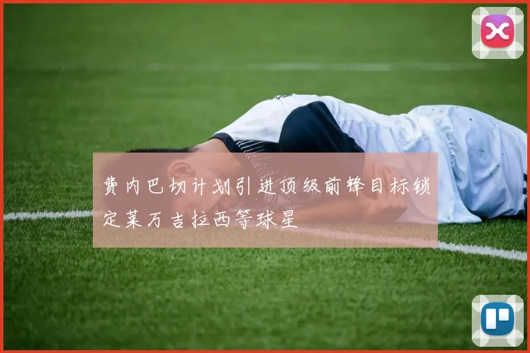费内巴切计划引进顶级前锋目标锁定莱万吉拉西等球星