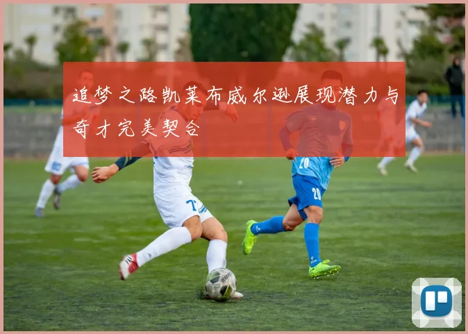 追梦之路凯莱布威尔逊展现潜力与奇才完美契合